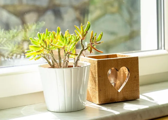 Obersteiner 2 Zell am Ziller